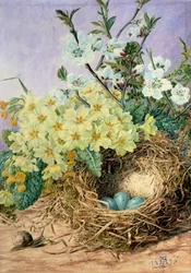 Spring, 1879
